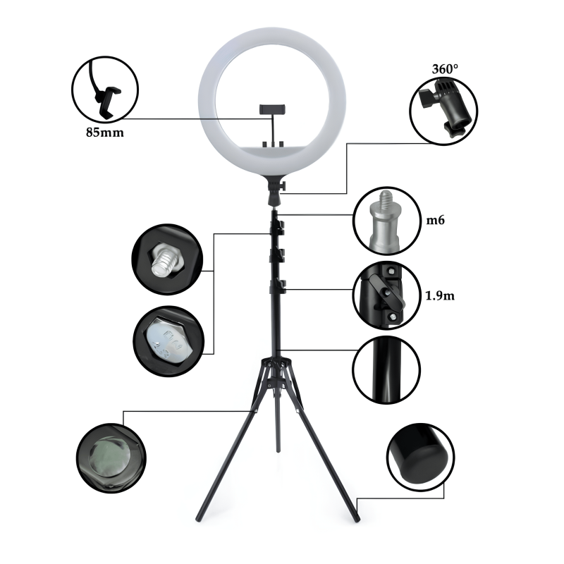 LED Ring Light