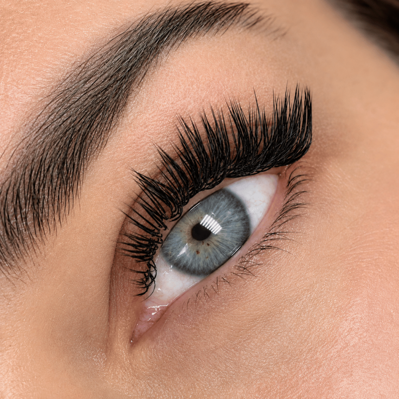 Eyelash Extensions Black PLATINUM 24 lines Сurl V 0.10 6-13mm NEW