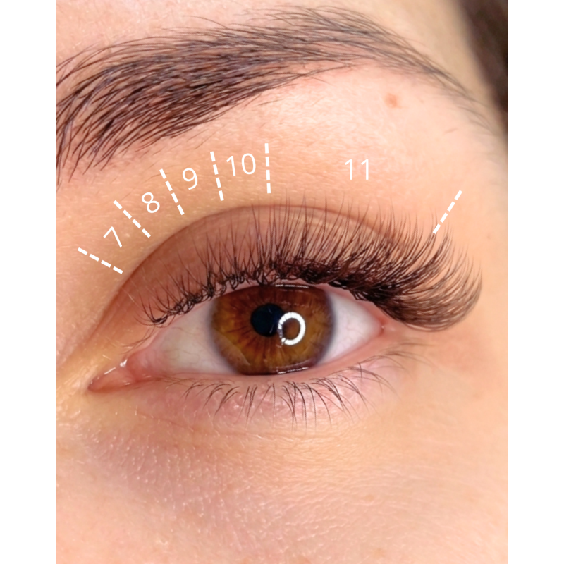 Ready Fan Eyelash Clusters 3D Dark Choco U-Shape Curl C 0.07 7–13 mm PLATINUM
