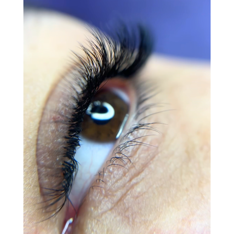 Eyelash Extensions Black PLATINUM 24 lines Сurl CC 0.085 8-14mm NEW