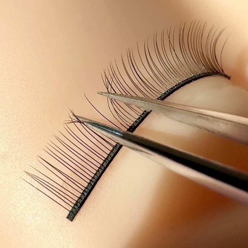 Training Lashes – 5 Pairs